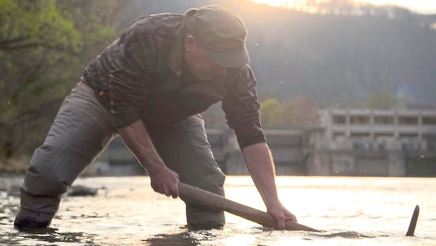 Franz Keppel creating spawning grounds (Bild: Franz Keppel)