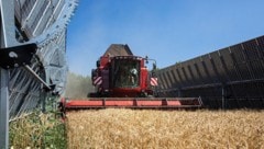 Mitte April nahm man die Agri-PV-Anlage in Pischelsdorf in Betrieb. (Bild: EWS Consulting GmbH/Astrid Knie)
