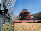 Mitte April nahm man die Agri-PV-Anlage in Pischelsdorf in Betrieb. (Bild: EWS Consulting GmbH/Astrid Knie)