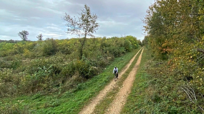 Die Strecke führt großteils durchs Gelände und via Single-Trail. (Bild: Krizek)