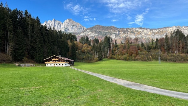 75.000 m2 grüne Wiese sollen in Unterbürg einem Gewerbegebiet geopfert werden. (Bild: Liste Fritz)