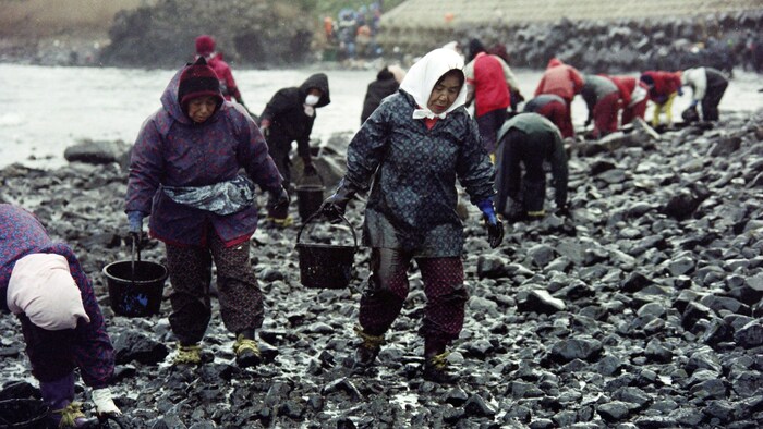 Einsatzkräfte und Freiwilige bei der Reinigung des Strandes 1997, nachdem ein russischer Öltanker vor der Küste von Mikuni gestrandet war und Ladung verloren hatte. 
