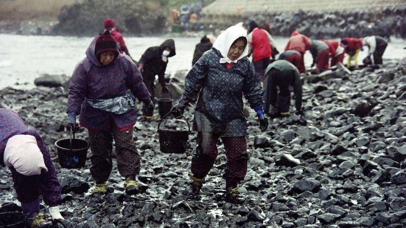 Emergency services and volunteers cleaning the beach in 1997 after a Russian oil tanker ran aground off the coast of Mikuni and lost cargo. (Bild: APA/AFP )