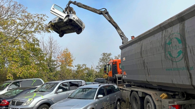 Mit  Spezialfahrzeugen wurden die Schrott-Fahrzeuge der illegalen Altfahrzeug-Sammler abtransportiert.  (Bild: Land NÖ)