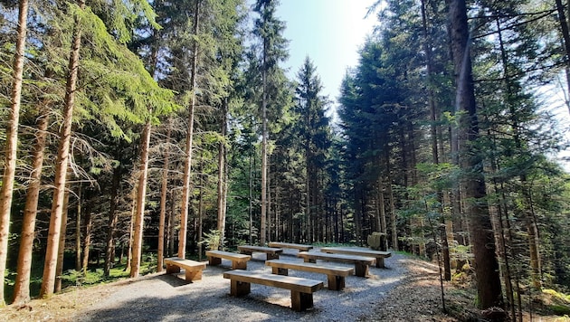 Im Klosterwald Bludesch kann man sich bestatten lassen. Es ist ein besinnlicher, aber kein deprimierender Ort. (Bild: Klosterwald Bludesch)