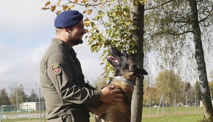 Dog handlers show off their skills on Saturday.