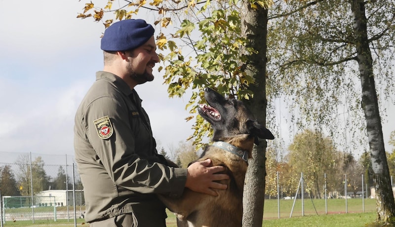 Dog handlers show off their skills on Saturday. (Bild: Tschepp Markus)