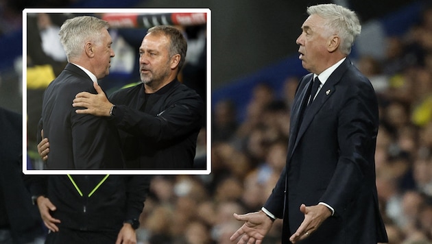 Carlo Ancelotti and Hansi Flick (Bild: AFP, krone.at-grafik)