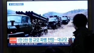 Ein Bericht über nordkoreanische Artillerieeinheiten im südkoreanischen Fernsehen (Bild: APA/AP)