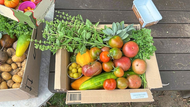 The association donates vegetable boxes to social institutions (Bild: zVg)