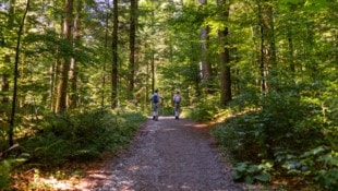 (Bild: Luka Tabako Tourismusverband der Region Kvarner)