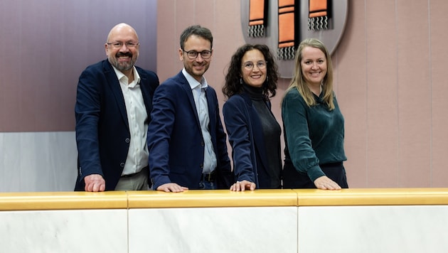 The experienced quartet consisting of Eva Hammerer, Daniel Zadra, Bernie Weber and Christine Bösch-Vetter (from left) will not need any time to get used to parliament. (Bild: Grüne)