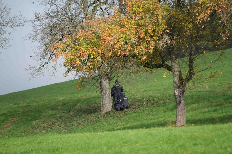 (Bild: Horst Einöder/Flashpictures)