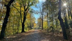 Zu viele Grad, zu wenig Sonne und ein wenig zu viel Regen gab es im Oktober. (Bild: Sequard-Poyer Charlotte)