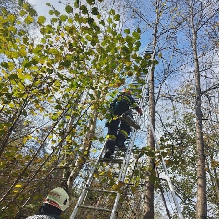 Eine eher ungewöhnliche Tierrettung.