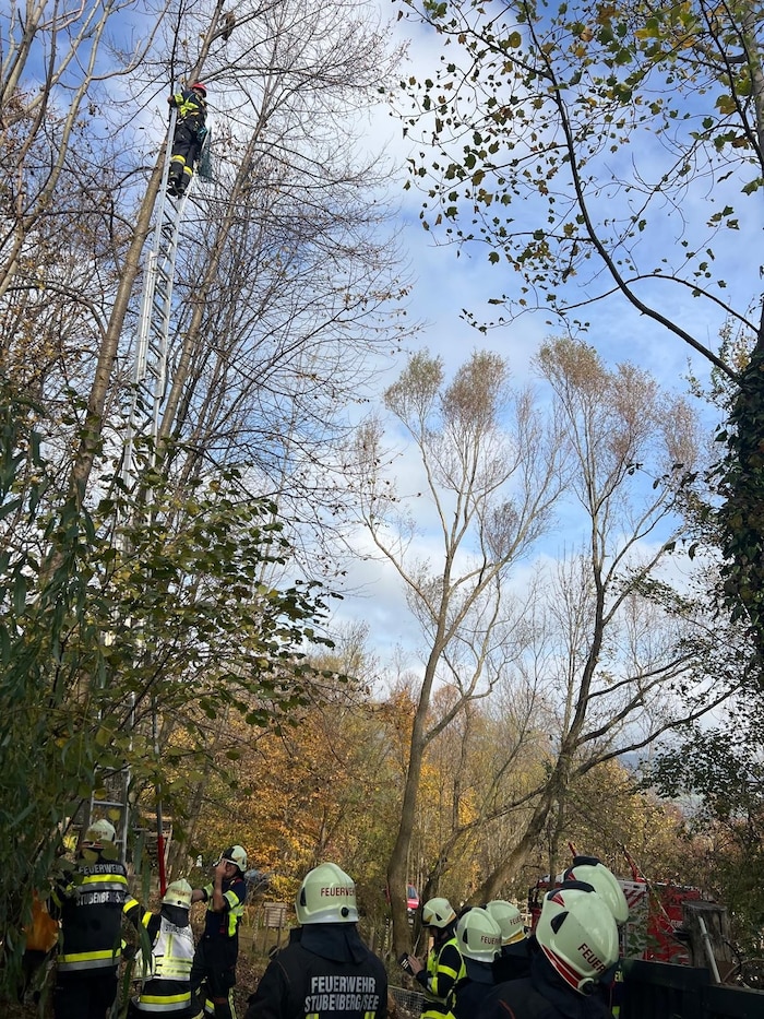 Der Einsatz dauerte zweieinhalb Stunden