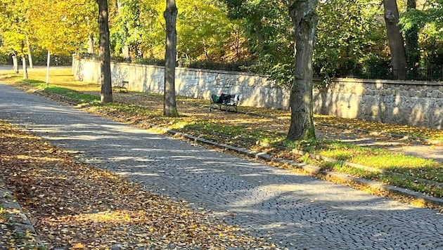 A park bench is the sleeping place of the man known to the police (Bild: Leserreporter)