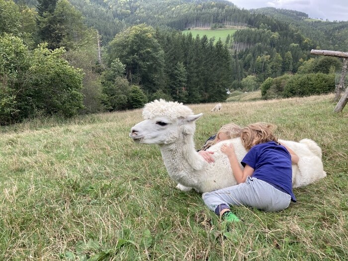 Kuscheln mit Alpakas – auch das dürfen die Kinder dort in Thomasberg. 
