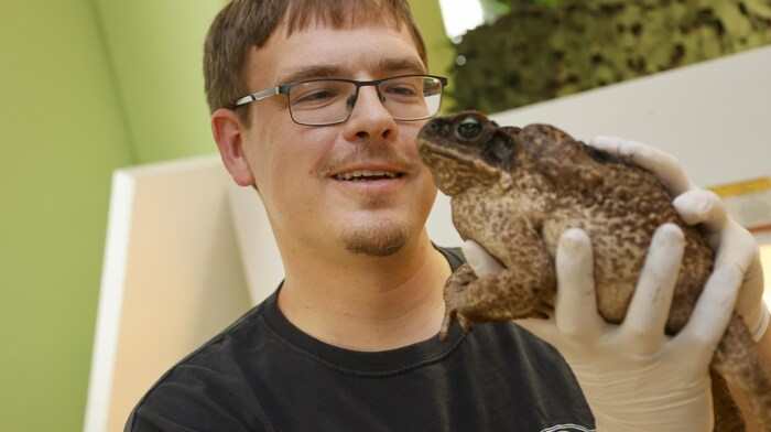 Nils Kley with "Olga", probably the largest toad in Austria