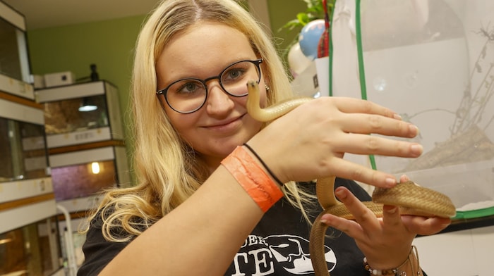 Employee Alina Golda feels right at home in the reptile zoo. There are special spooky tours for ...