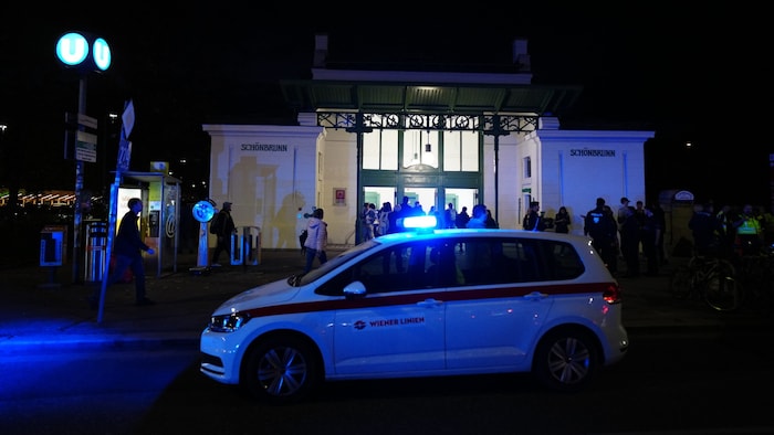 The large-scale operation kept Vienna's helpers busy for hours on Tuesday. There will hardly be any consequences for the two boys who survived the incident unscathed.