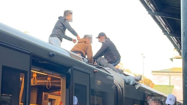 From a legal point of view, the devastating incident in front of Schönbrunn subway station was only a minor administrative offense. (Bild: Leserreporter, Krone KREATIV)