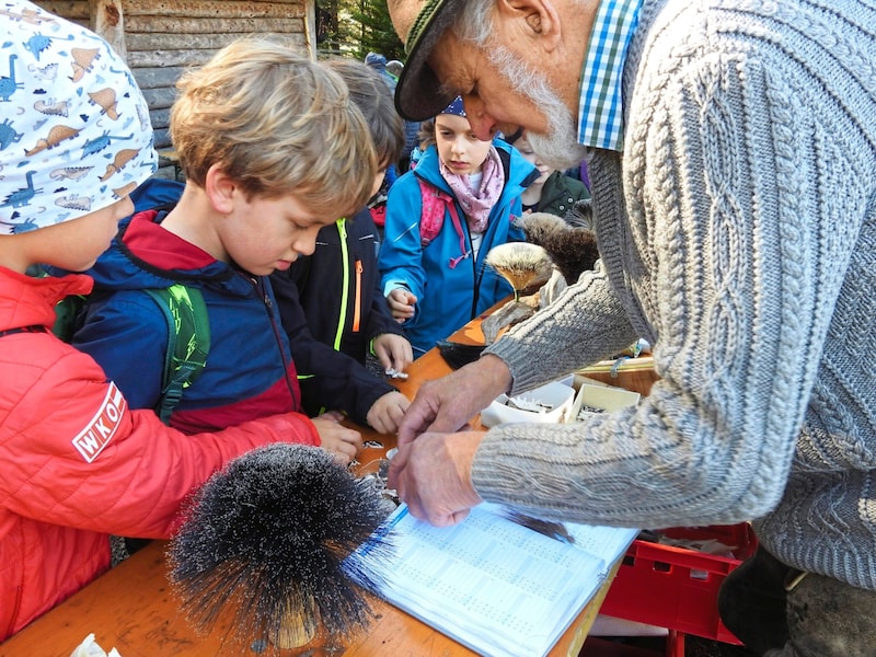 Children learned all about hunting in the forest and at stations in Nöring. (Bild: zVg)