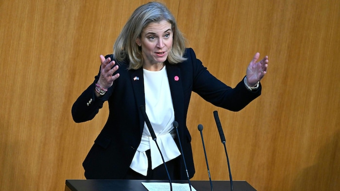 Beate Meinl-Reisinger