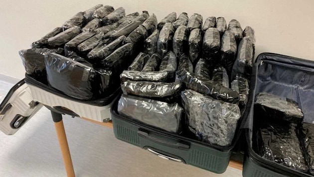 A 29-year-old man checked 33 kilograms of cannabis in two suitcases. (Bild: zVg)