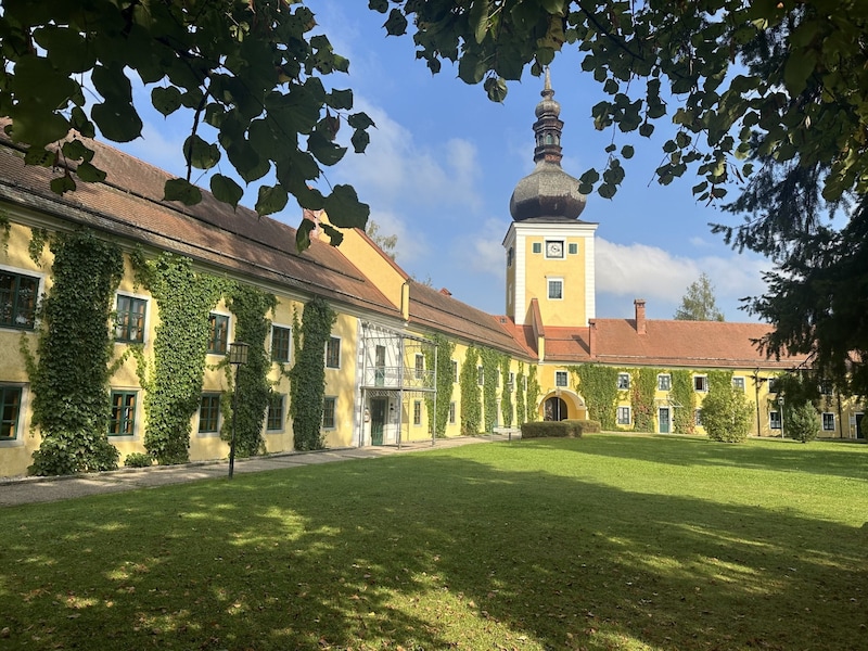 In der Turmgalerie im Schloss Puchheim in Attnang-Puchheim kann die Ausstellung „Herbstzeichnung“ besichtigt werden. Zu sehen sind Werke, die beim 5-tägigen Künstlersymposium „Zur anderen Seite des Todes“ vor Ort entstanden sind. Datum: Samstag, 2. 11., 19 Uhr Infolink: www.attnang-puchheim.at (Bild: Stadtgemeinde Attnang-Puchheim)