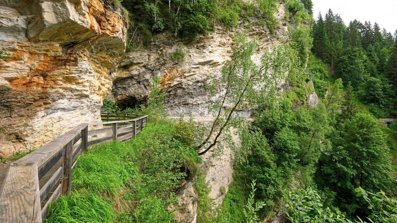 Gold went to Salzburg for the first time: the Gadauner Gorge is the most beautiful place. (Bild: ORF)