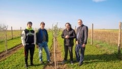 Agro Rebel Markus Fink (2.v.li.) mit seinem Sohn Philipp, sowie Bgm. Robert Kovacs und Labg. Gerhard Bachmann im Olivenhain. Das Projekt läuft drei Jahre. (Bild: Charlotte Titz)