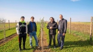 Agro Rebel Markus Fink (2.v.li.) mit seinem Sohn Philipp, sowie Bgm. Robert Kovacs und Labg. Gerhard Bachmann im Olivenhain. Das Projekt läuft drei Jahre. (Bild: Charlotte Titz)