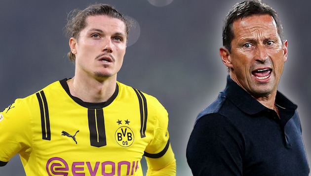 Sabitzer (left) is in crisis with Dortmund - will Roger Schmidt (right) take over? (Bild: APA/AFP/Ronny HARTMANN, APA/FILIPE AMORIM)