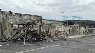 Beim Brand in der Lebek-Halle wurden viele Werke Schüßlers beschädigt. (Bild: Evelyn Hronek)