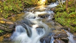 Der malerische Granitzenbach– ein zu Recht unter Schutz gestelltes wahres Naturjuwel. (Bild: Weges)