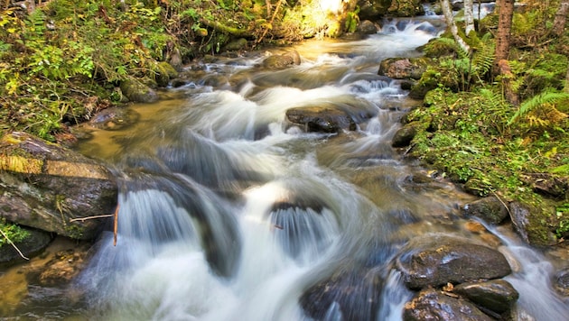 Der malerische Granitzenbach– ein zu Recht unter Schutz gestelltes wahres Naturjuwel. (Bild: Weges)