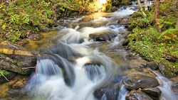 Der malerische Granitzenbach– ein zu Recht unter Schutz gestelltes wahres Naturjuwel. (Bild: Weges)