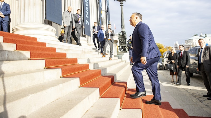 Orbán auf dem Weg zum Parlament (Bild: APA/Tobias Steinmaurer)