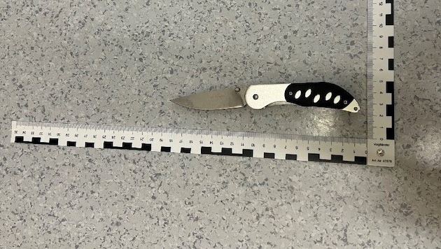 Mit diesem Messer soll der Mann am Mittwoch in ein Lokal in der Josefstadt spaziert sein.  (Bild: LPD Wien)