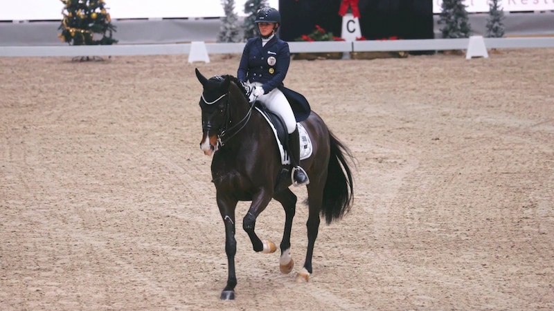 Diana Porsche mit ihrem aktuellen Spitzenpferd „Dahoud“ (Bild: Tröster Andreas/ANDREAS TROESTER)