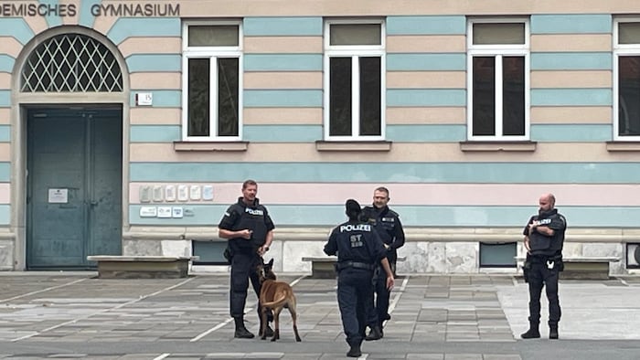 Police operation with dogs