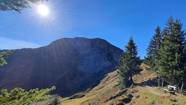 Der Zafernhorn-Rundweg bietet etliche traumhafte Ausblicke auf die herbstliche Berglandschaft. (Bild: Bergauer Rubina)