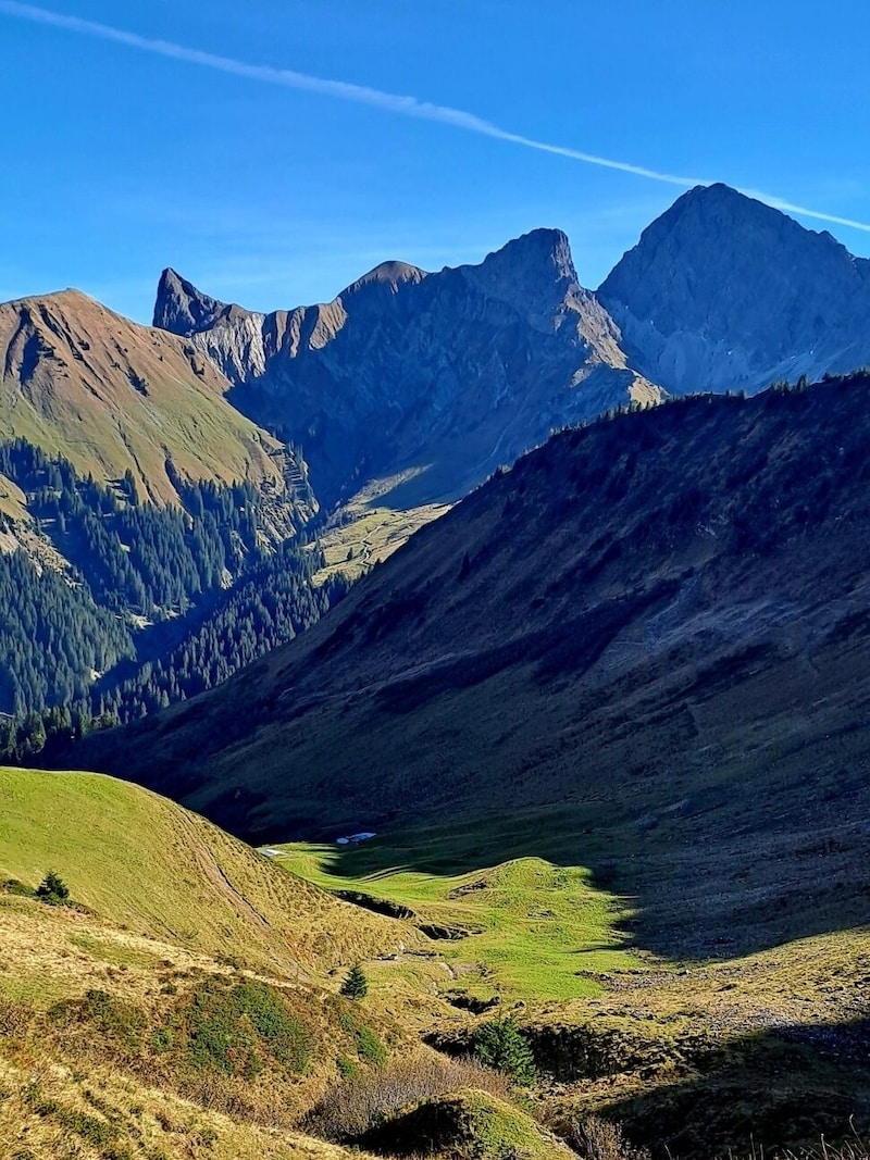 Licht und Schatten am Fuße des Zafernhorns. (Bild: Bergauer Rubina)