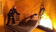 Im Training sind Ausnahmesituationen nachgestellt – von klein auf werden Polizeihunde für dienstliche Einsätze vorbereitet. (Bild: Christian Schulter)