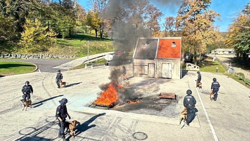 Für Polizisten mit ihren vierbeinigen Kollegen bietet das Areal der Feuerwehrschule in Eisenstadt ein Übungsgelände nach Maß. Allerlei Szenarien lassen sich erproben. (Bild: Christian Schulter)