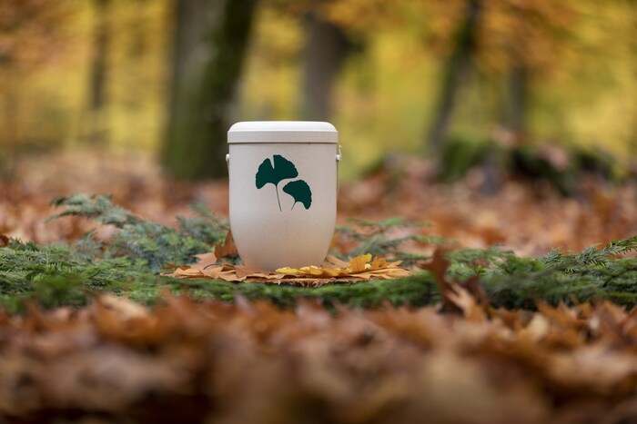 Im Friedwald werden Tote ausschließlich in Urnen begraben.