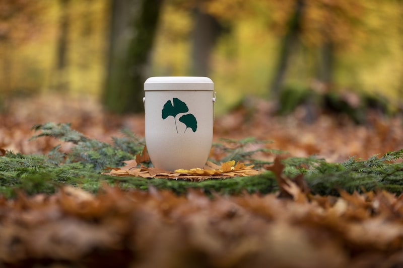 Im Friedwald werden Tote ausschließlich in Urnen begraben. (Bild: FriedWald GmbH)