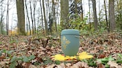 Der Waldfriedhof in Wundschuh wurde 2024 eröffnet und wächst stetig.