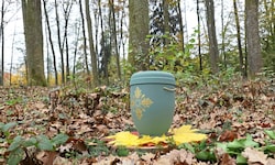 Der Waldfriedhof in Wundschuh wurde 2024 eröffnet und wächst stetig.